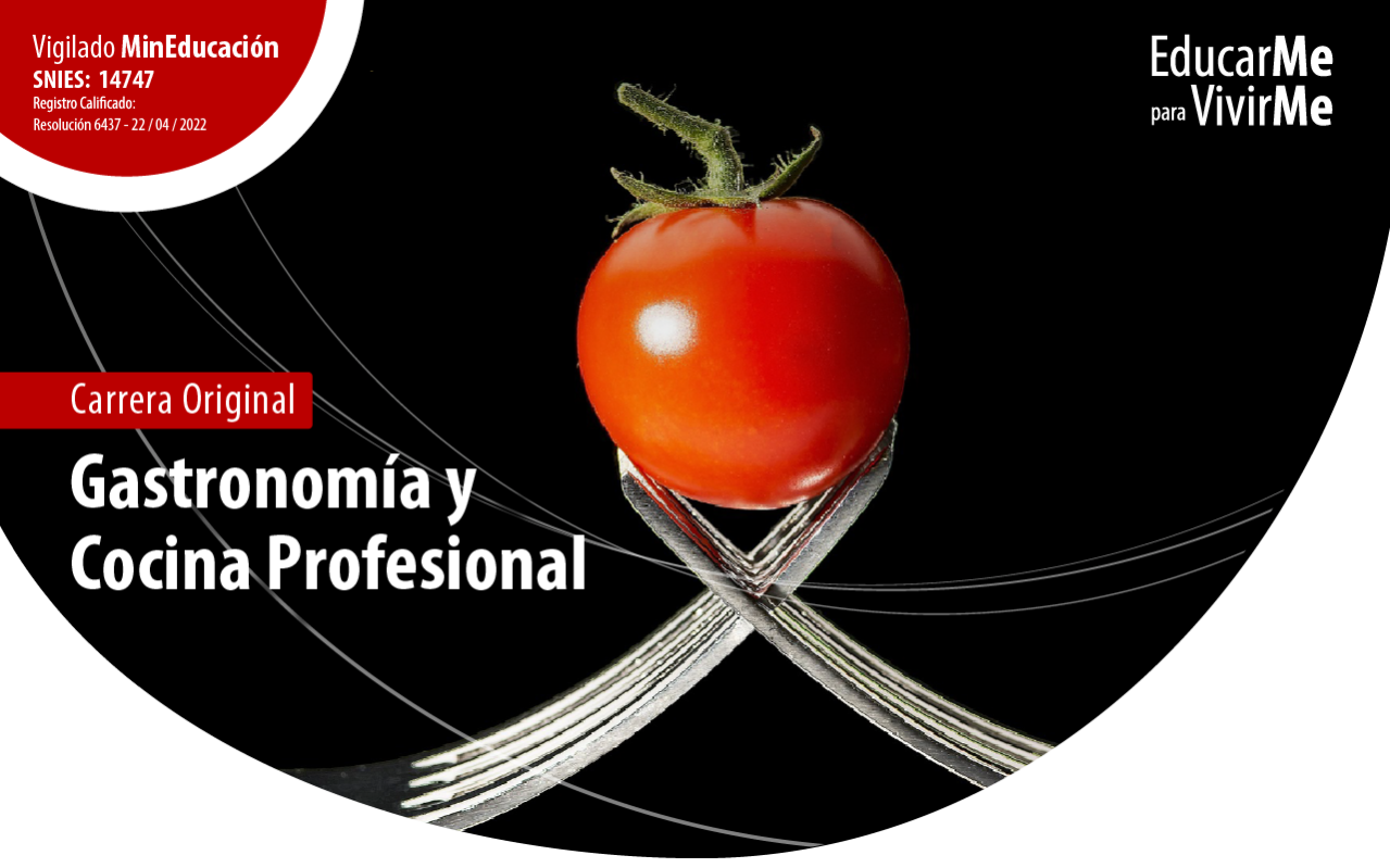 Gastronomia y cocina profesional