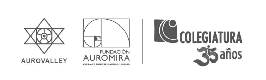 Logos Aurovalley - Auromira - Colegiatura