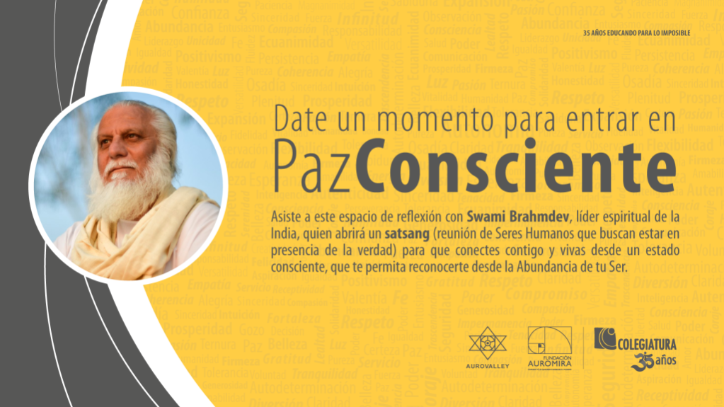 Satsang con Swami Brahmdev