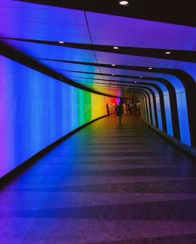 Curso Original Experiencias Multisensoriales en Espacios Come