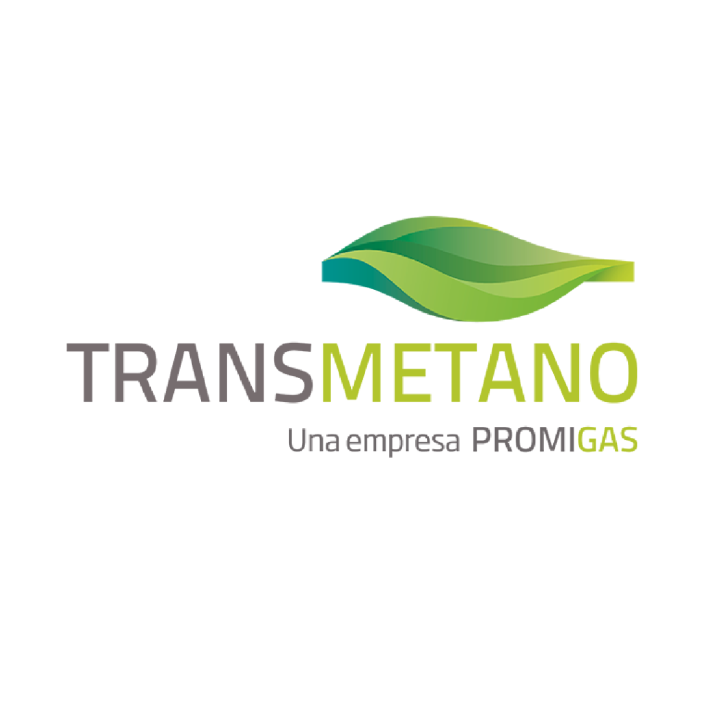 0030. TRANSMETANO