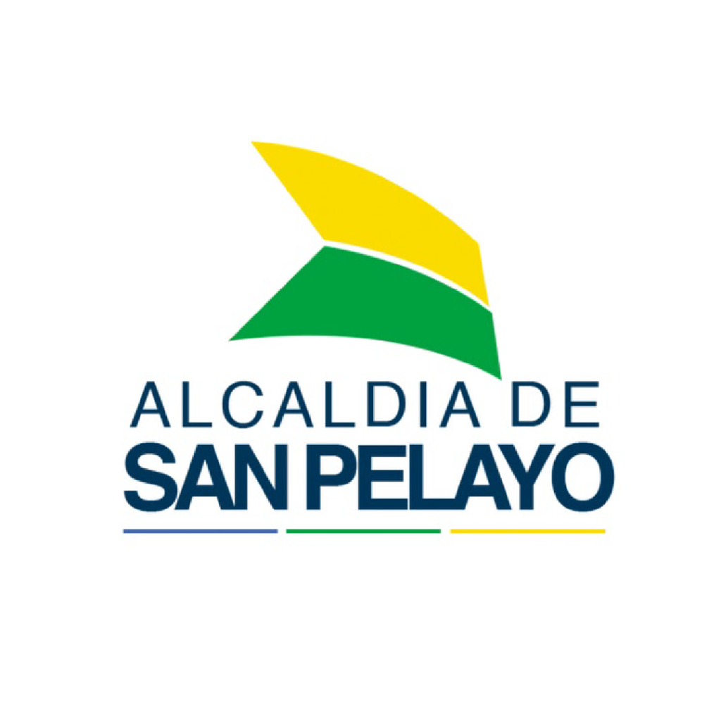 0047. ALCALDIA DE SAN PELAYO
